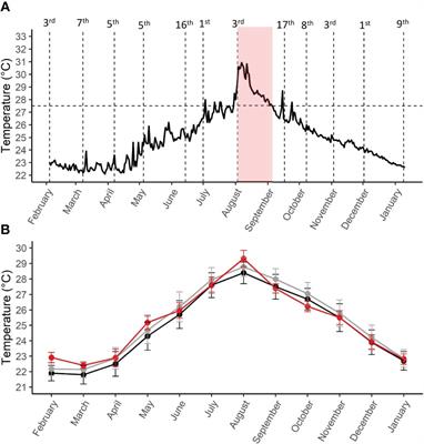 Reef building corals show resilience to the hottest marine heatwave on record in the Gulf of Aqaba